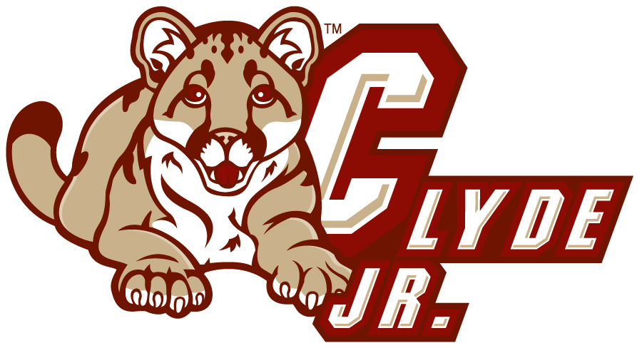 College of Charleston Cougars 2008-2013 Mascot Logo diy iron on heat transfer
